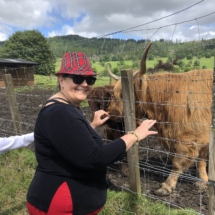 NHSCOT Trip to Scotland a view of the scottish country side and a female and scottish animals