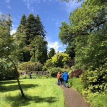 NHSCOT Trip to Scotland a view of a scottish country side forest