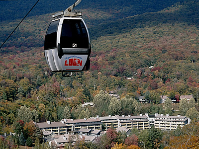 Loon Fall sm Loon Fall sm