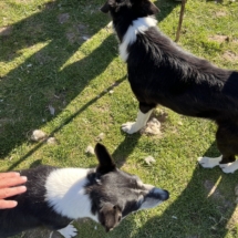 Photo Aug 11, 4 48 36 PM - Copy