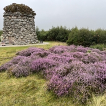 Photo Aug 12, 10 23 45 AM