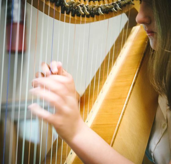 nhscot nh highland games SCOTTISH HARP