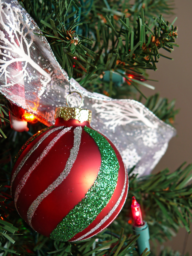 Yuletide Story told by Laura Goodman